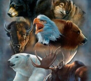 Do they exist? If so, who are they? What is their role? How can you find your totem animal?